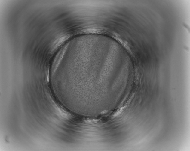 X0000093490062200710261125