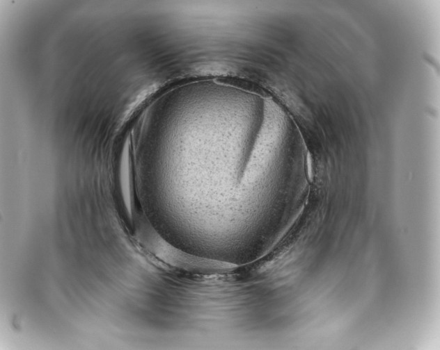 X0000093490064200710261125