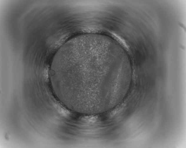 X0000093490065200710261125