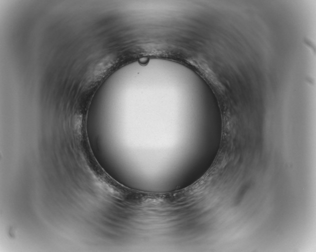 X0000093490066200710261125