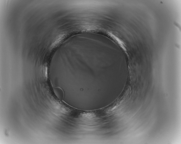 X0000093490067200710261125