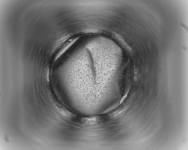 X0000093490068200710261125