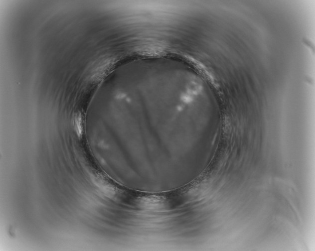 X0000093490069200710261125