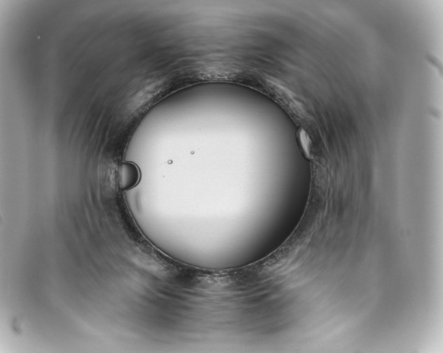 X0000093490071200710261125