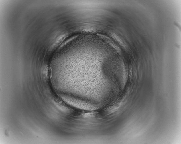 X0000093490072200710261125