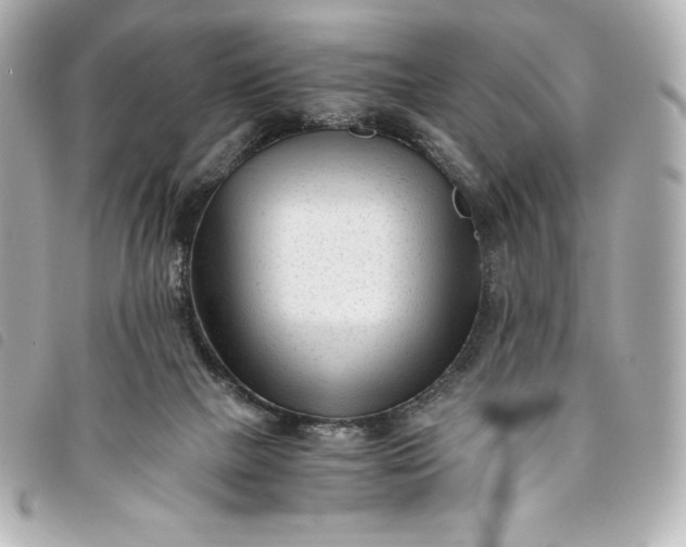 X0000093490073200710261125