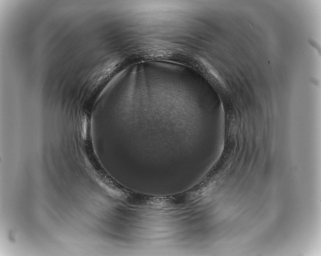 X0000093490076200710261125