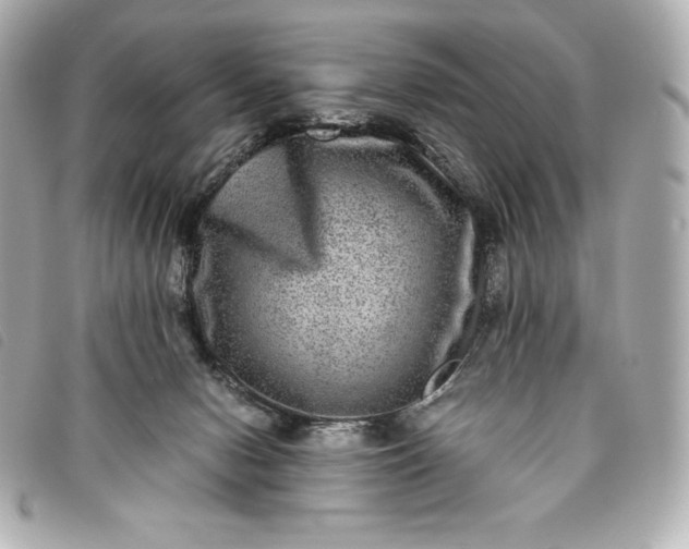 X0000093490078200710261125