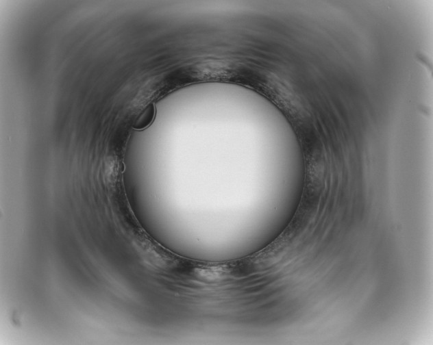 X0000093490079200710261125