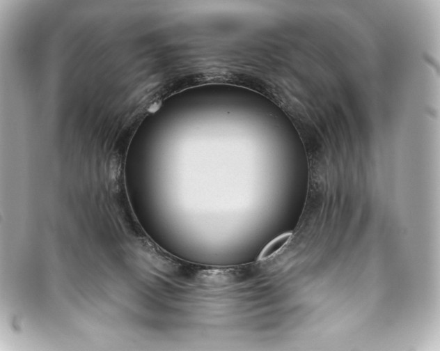 X0000093490082200710261125