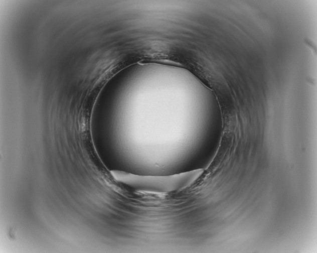 X0000093490084200710261125