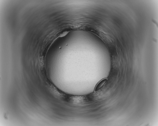 X0000093490085200710261125