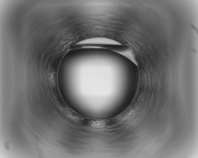 X0000093490088200710261125