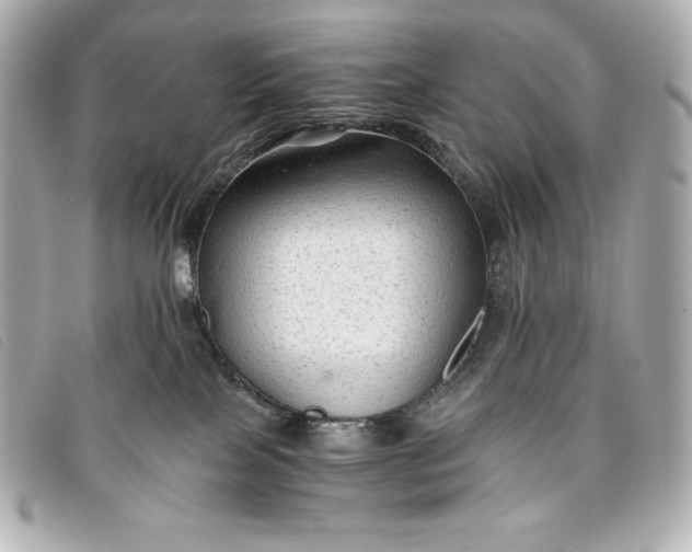 X0000093490089200710261125