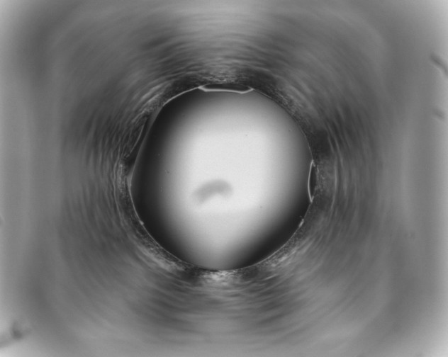 X0000093490092200710261125