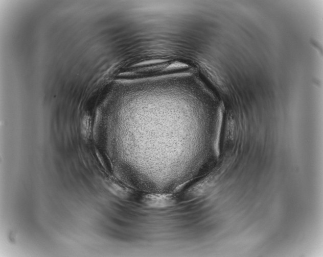 X0000093490093200710261125