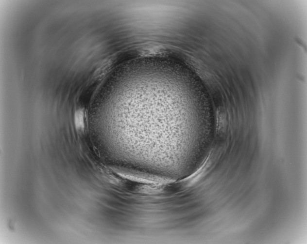 X0000093490094200710261125