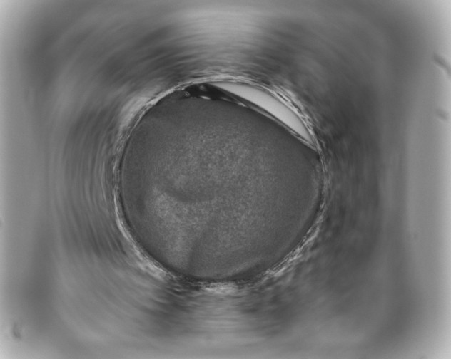 X0000093490097200710261125