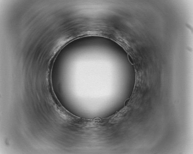 X0000093490098200710261124