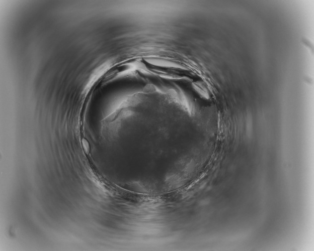 X0000093490099200710261124