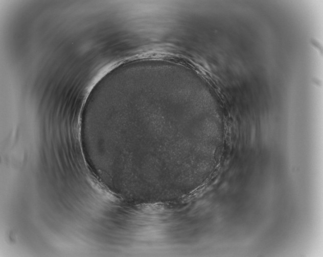 X0000093490100200710261124