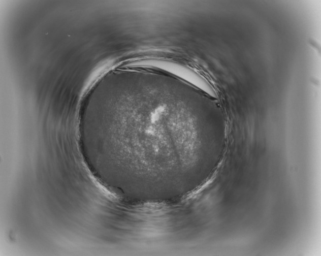 X0000093490101200710261124