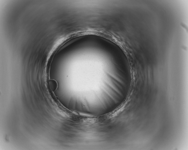 X0000093490102200710261124