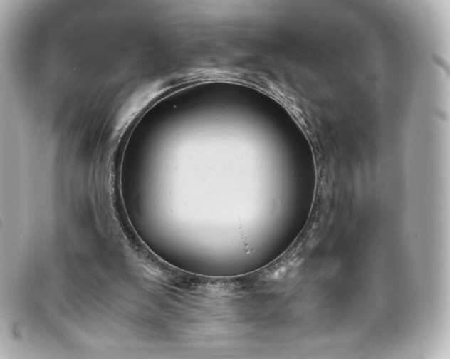 X0000093490103200710261124