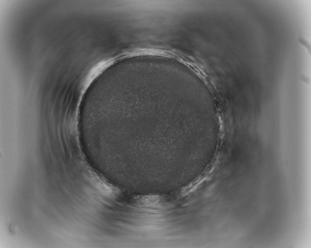 X0000093490104200710261124