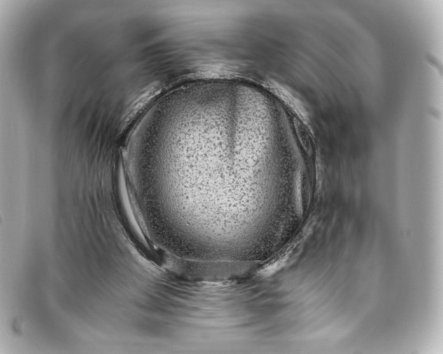 X0000093490105200710261124