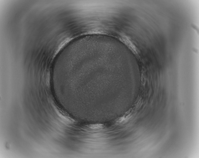 X0000093490108200710261124