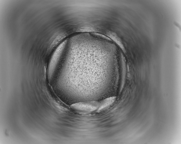 X0000093490109200710261124