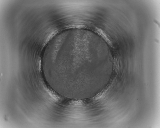 X0000093490110200710261124