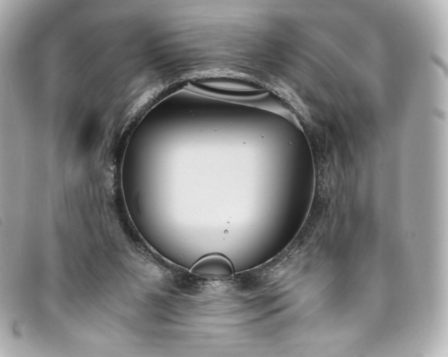 X0000093490111200710261124