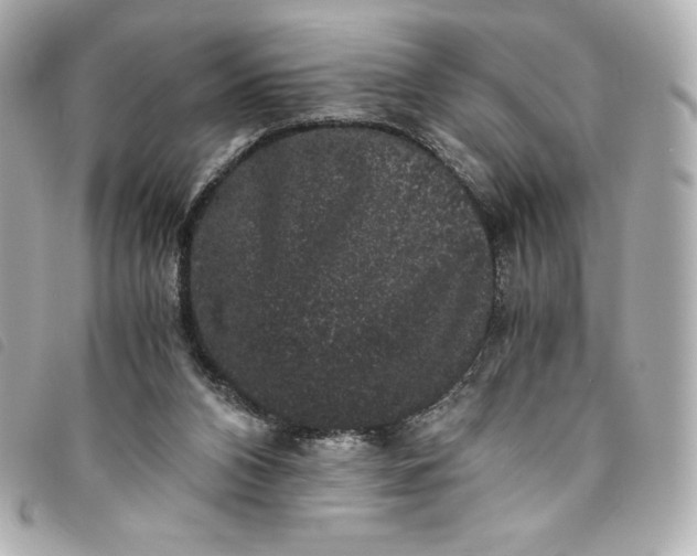 X0000093490112200710261124