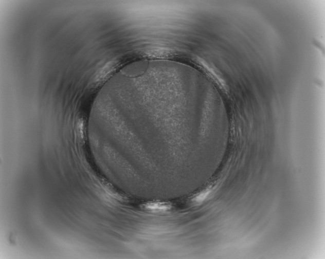 X0000093490117200710261124