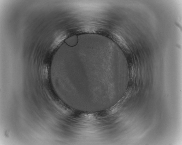 X0000093490120200710261124