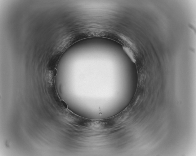 X0000093490121200710261124