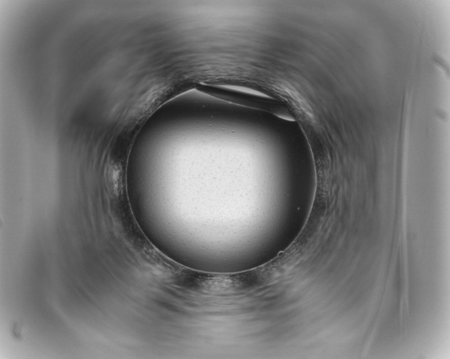 X0000093490123200710261124