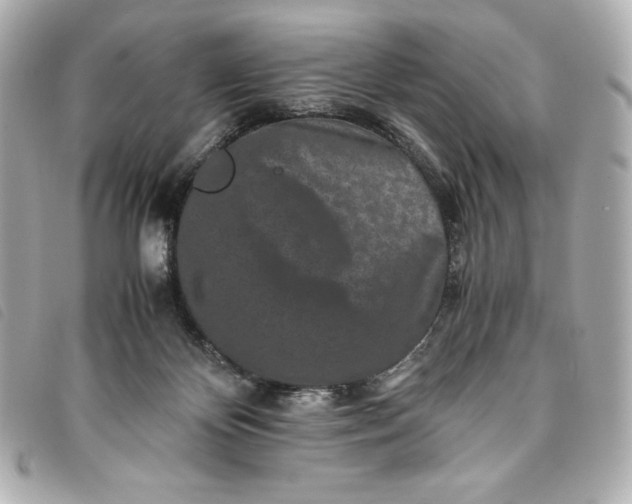 X0000093490124200710261124