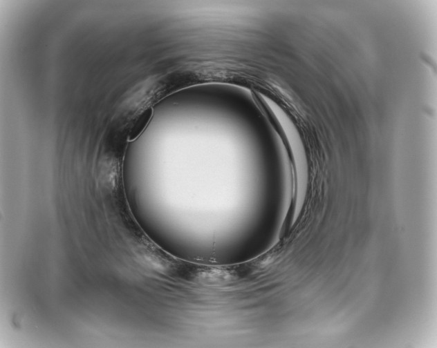 X0000093490125200710261124