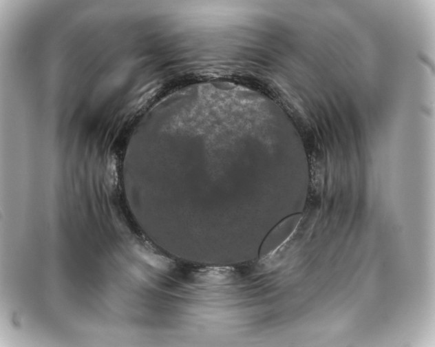 X0000093490128200710261124