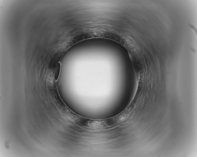 X0000093490129200710261124