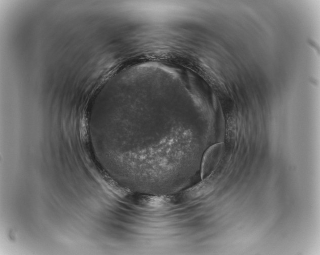 X0000093490130200710261124