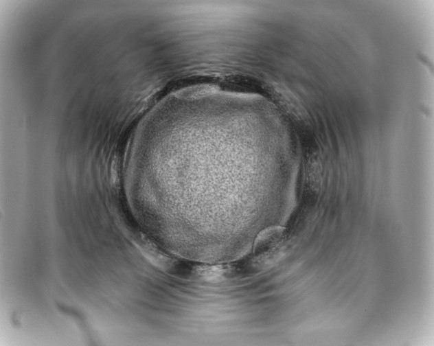 X0000093490131200710261124