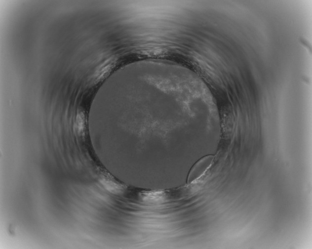 X0000093490132200710261124