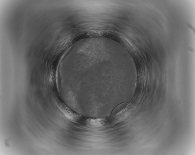 X0000093490134200710261124