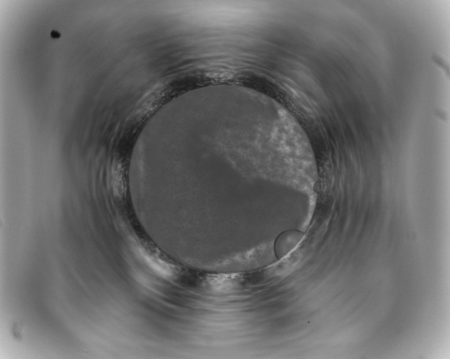 X0000093490136200710261124