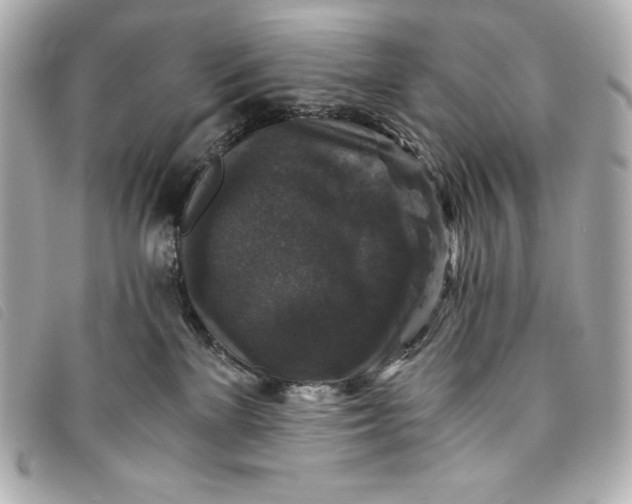 X0000093490137200710261124