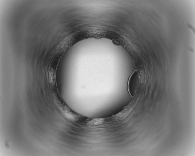 X0000093490138200710261124